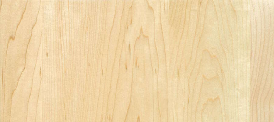 Hard maple wood